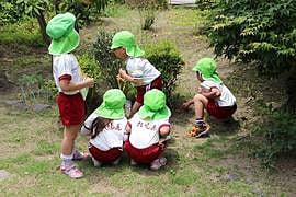 こちらに説明をご記入ください。